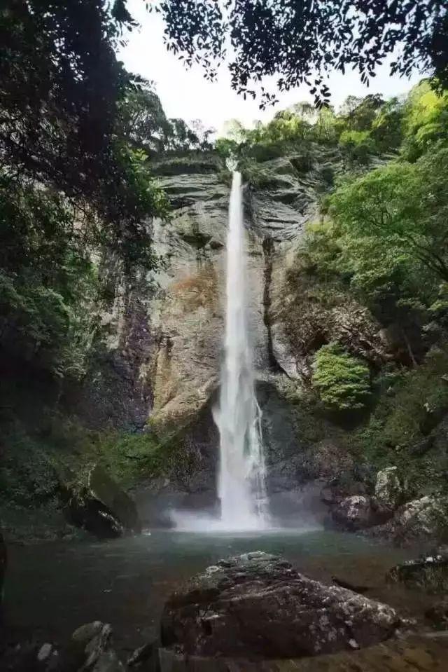 浙江官方：程帅澎白皮书年龄出错后 我们立刻联系CBA公司进行修改